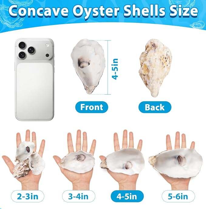 30Pcs 4-5 Inch Concave Large Oyster Shells - Image 5