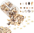 1200 Pieces Tiny Sea Shells Small Natural Starfish Mixed Ocean Beach Spiral by HAPY+SHOP