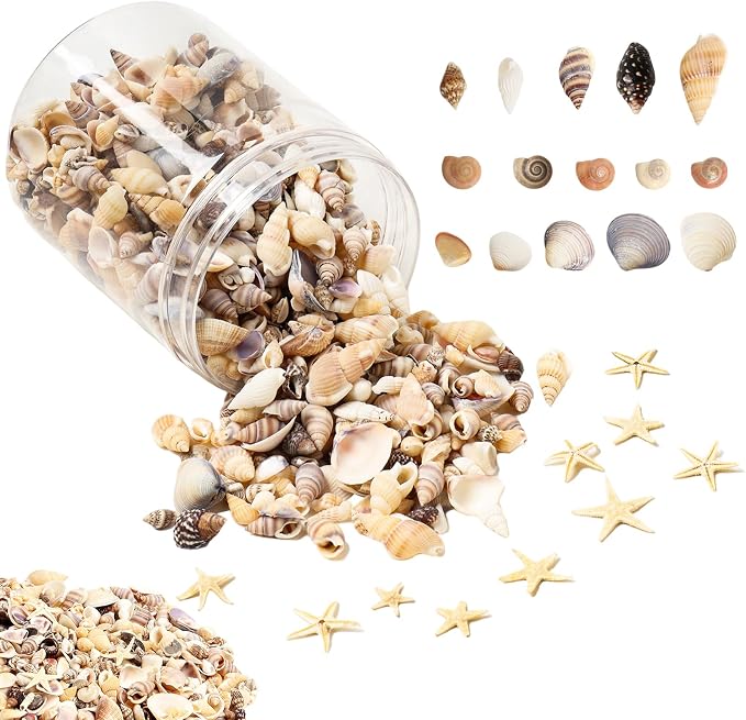 1200 Pieces Tiny Sea Shells Small Natural Starfish Mixed Ocean Beach Spiral by HAPY+SHOP