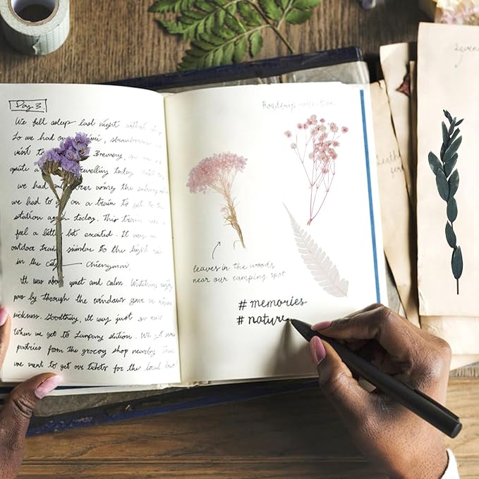 Real Dried Flowers, Natural Dry Flowers Mixed Natural Pressed Flowers Flores - Image 7