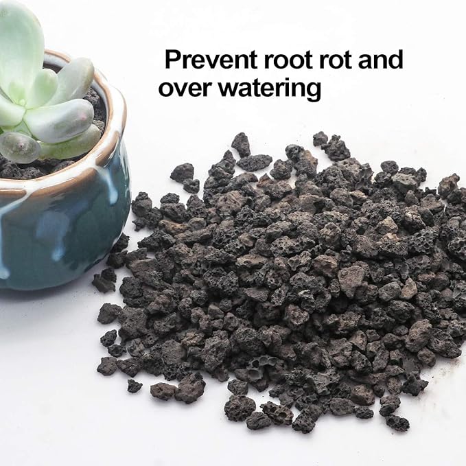 TOYPOPOR 6lb Black Lava Rock for Plants, Natural Horticultural Volcanic Grit - Image 3