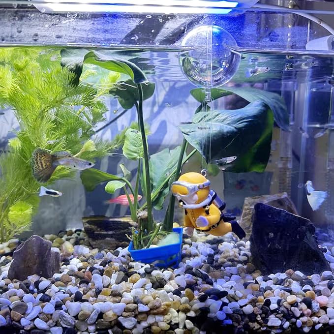 YISZM 20lbs Natural River Rocks, 1/4" Aquarium Gravel Small Rocks - Image 4