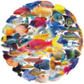 50 Pcs Clear PET Fish Aesthetic Stickers by Unknown