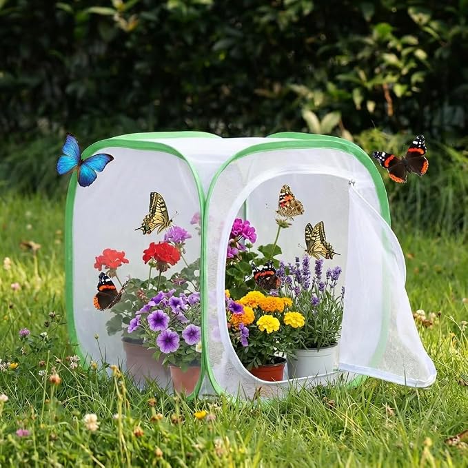 Insect & Butterfly Habitat Cage, Portable Pop-Up Terrarium - Image 6