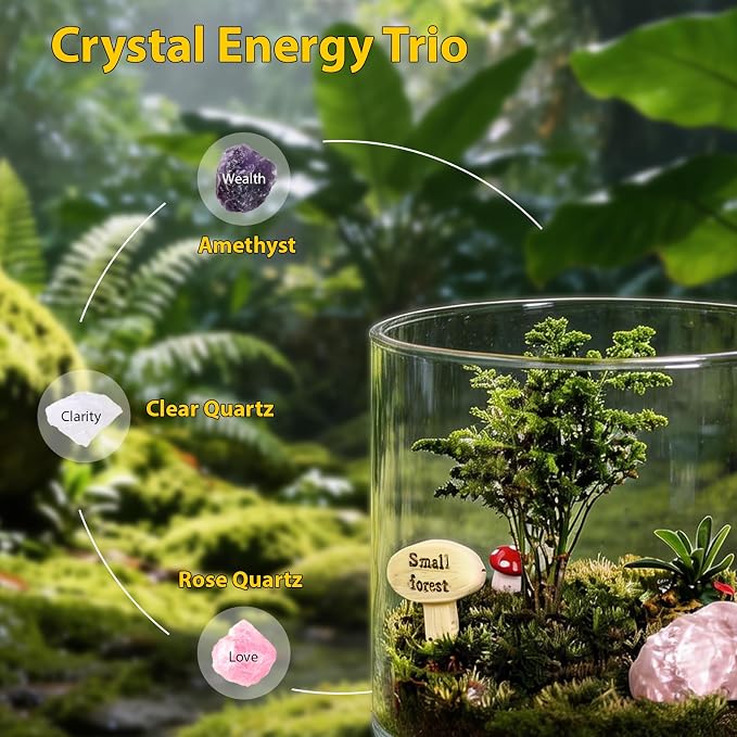 DIY Crystal Terrarium Kit - Image 3