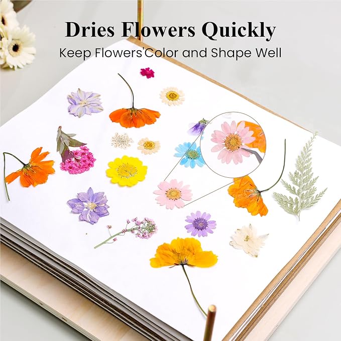 Aboofx Flower Press Kit, Craft Kits 11.2" x 11.2" 8 Layers Wooden Flower - Image 5