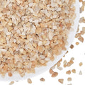 2.5 lbs Coarse Sand for Plants, 1/5 Inch Horticultural Sand for Succulents by GardenSteward