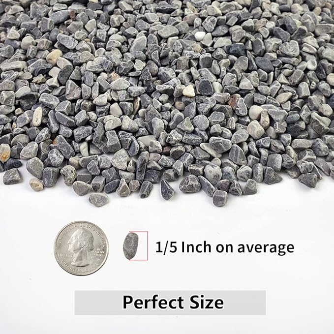 YISZM 2LB Succulent and Cactus Gravel Pebbles, 1/5 Inch Natural Decorative - Image 2