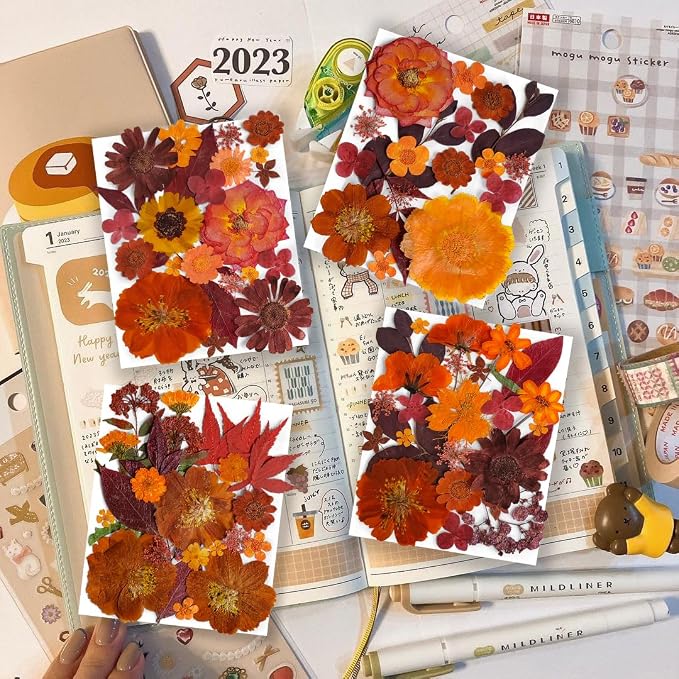 141PCS Brown Fall Dried Pressed Flowers - Image 2