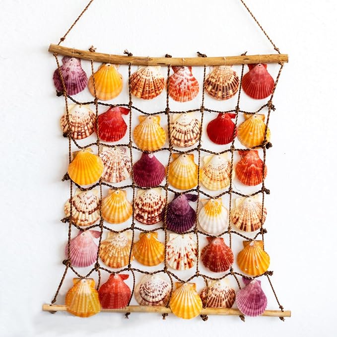 30 PCS+ Scallop Shells Natural Seashell, 1.5"-2.5" Colorful Scallop Shells - Image 4