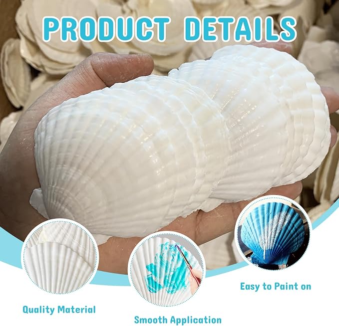 10Pcs 4-5“ Sea Shells Natural Scallop - Image 4