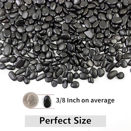 YISZM 2LB Succulent and Cactus Black Pebbles, 3/8 Inch Natural Decorative - Image 4