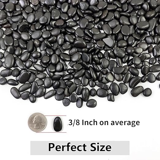 YISZM 5LB Succulent and Cactus Black Pebbles, 3/8 Inch Natural Decorative - Image 3