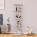 LFT HUIMEI2Y Glass Display Cabinet by LFTHUIMEI2Y