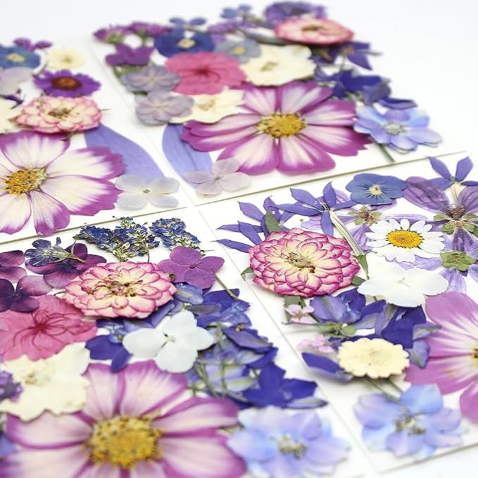 80Pcs Dried Pressed Flowers Purple, Real Natural Bulk Pressed Flowers - Image 6
