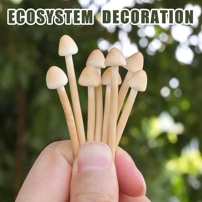 8-Pack Handmade Clay Mushrooms - Image 4