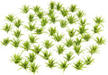 Yetaha 50pcs Green Shrubs Bush Model, Aritificial Plants, Railway Wargame Park by Yetaha