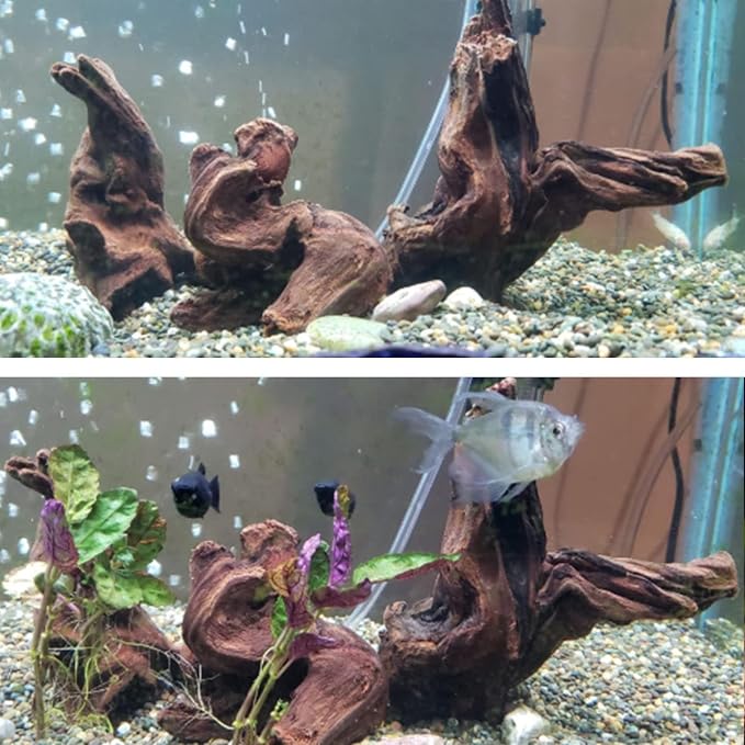 Hamiledyi Aquarium Driftwood 3PCS Natural Trunk Driftwood Assorted Branches - Image 7