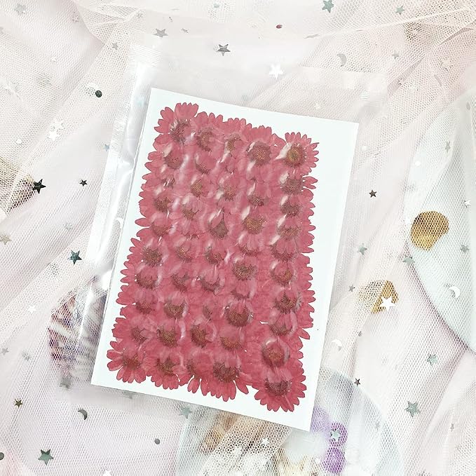 50pcs Natural Dried Daisy Flower, Vacuum Packaging, Pressed Flower - Image 4