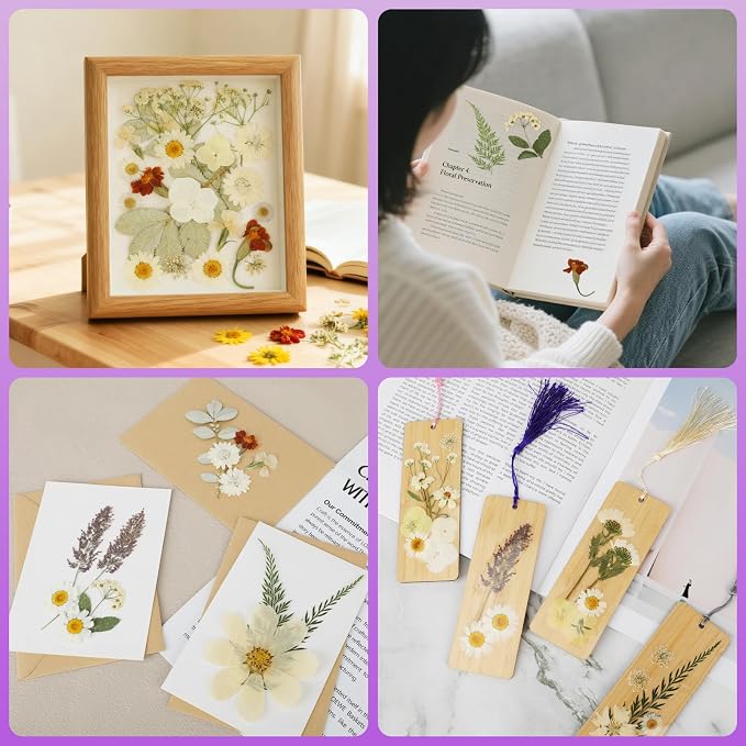 NESCCI 247 Pcs Dried Flowers for Crafts, Real Natural Dried Pressed Flowers in - Image 5