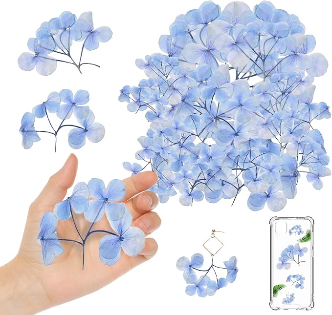 HEISENLIN Blue Dried Pressed Flowers Hydrangea by HEISENLIN