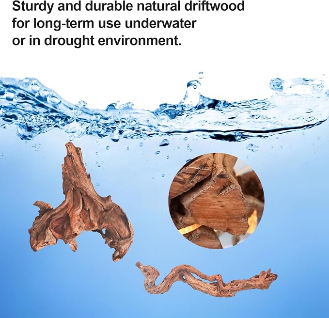 Natural Driftwood Decor for Aquarium Decorations Reptile Tank Accessories - Image 4