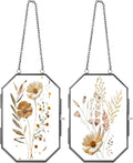 Qunclay 2 Pcs Double Glass Frame by Qunclay