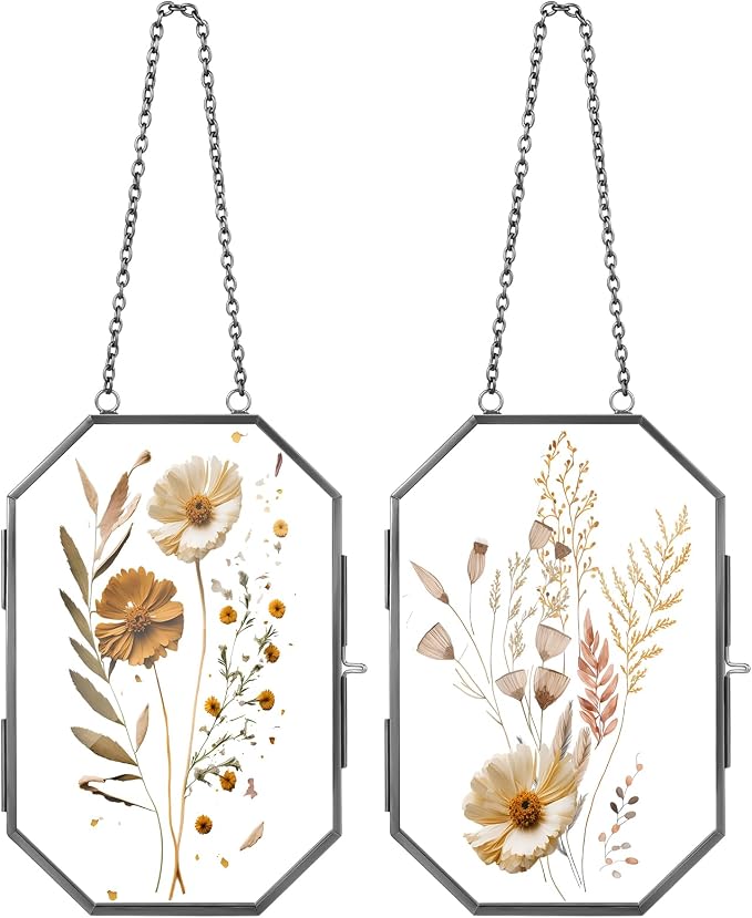 Qunclay 2 Pcs Double Glass Frame by Qunclay