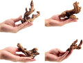 YZHZOM Small Natural Driftwood for Aquarium Styling Carefully Selected Natural by YZHZOM