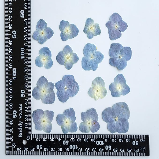 48 Pcs Dried Pressed Flowers for Resin DIY Art Crafts Natural Dry Hydrangea - Image 7