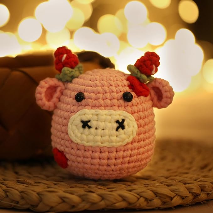 Crochet Kit for Beginners Adults - Image 7