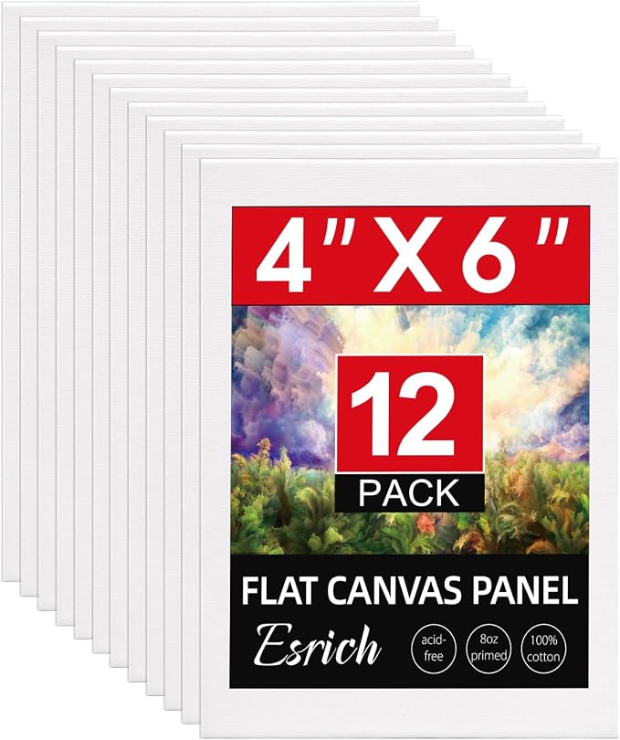 ESRICH 12 Pack 4x6 Inch Small Canvases by ESRICH