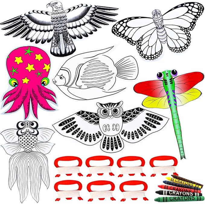 HENGDA KITE DIY Blank Painting Kite by HENGDAKITE