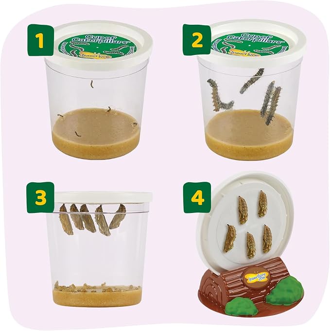 Insect Lore Raise and Release Butterfly Garden Kit – Caterpillar Habitat - Image 7