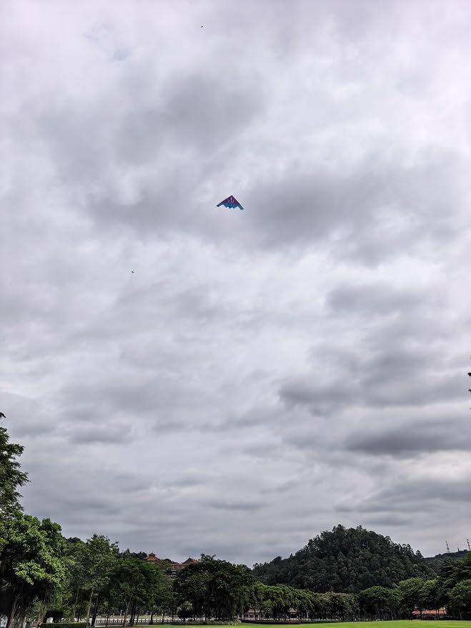 B2 Model Airplane Kite, Large Easy to Fly Kites Adults, 300FT String Reel - Image 7