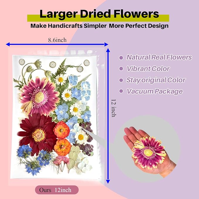 A4 Large Dried Pressed Flowers for Resin Real Dry Natural Flowers Leaves for - Image 2