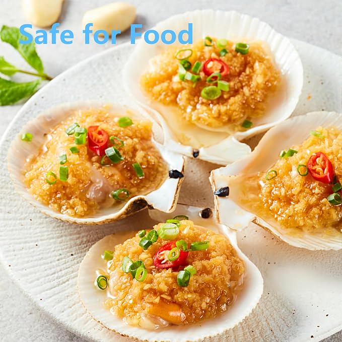 10 PCS 4-5 Inch Large Scallop Shells - Image 7