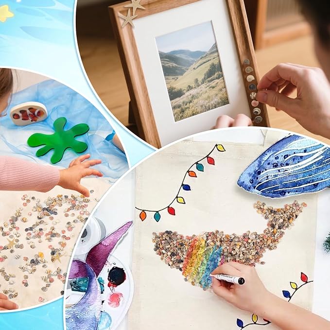 1200 PCS Tiny Seashells & 21 Starfish Mixed 18 Kinds Bulk Beach Small Shells - Image 6