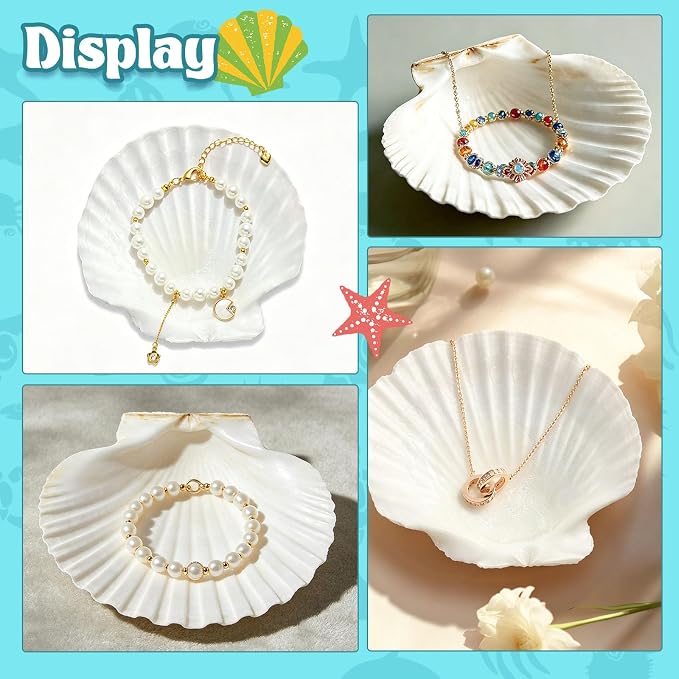 Baaxxango 12 PCS 4-5 Inch Large Scallop Seashells, Natural White Shells - Image 6