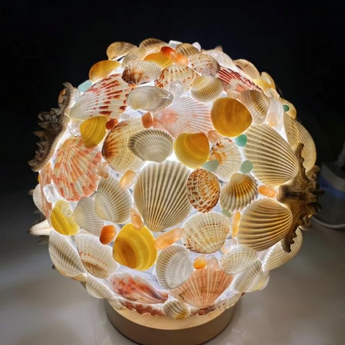 30Pcs Sea Shells - Image 5