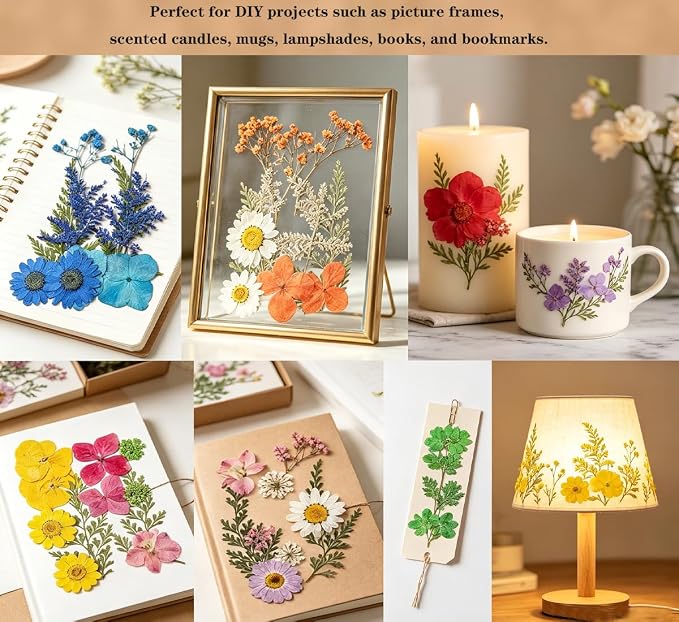 Dried Flowers, Resiners 80Pcs（Trending Colors） Pressed Flowers - Image 4