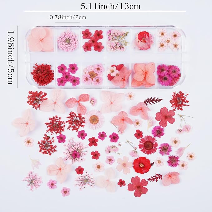 60Pcs Red Small Dried Pressed Flowers - Image 2