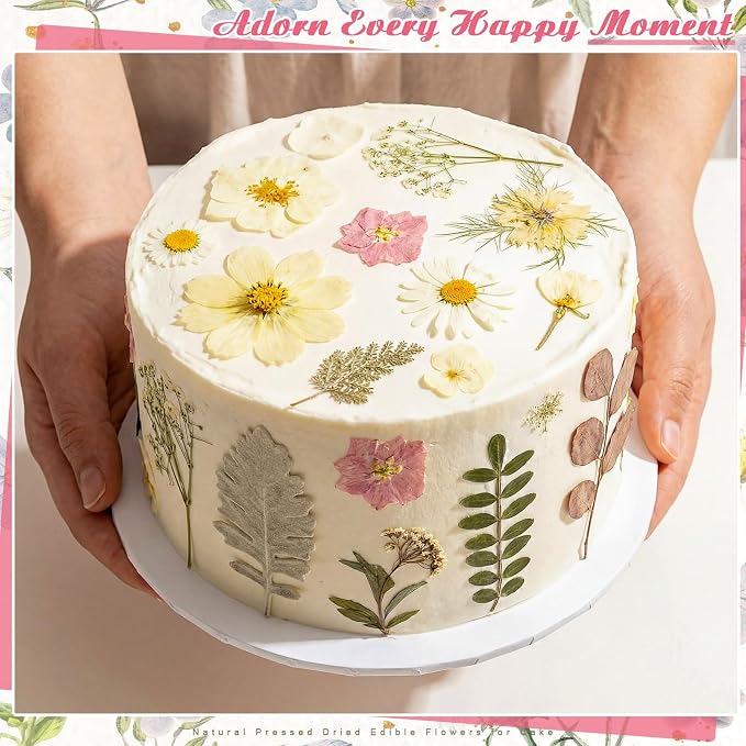 96 Pcs Natural Dried Pressed Flowers - Image 5