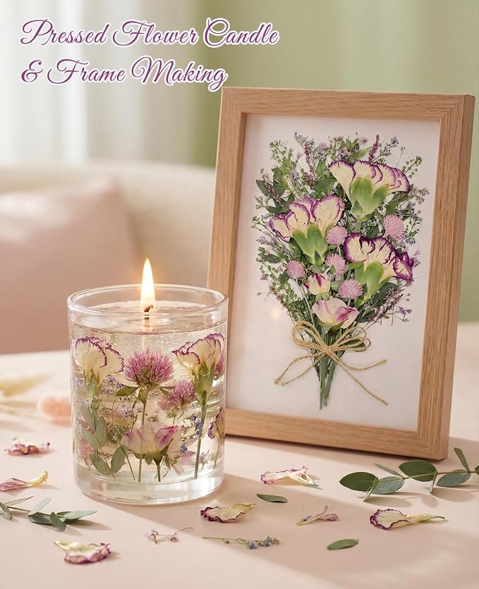 10+ Types Dried Pressed Flowers - Image 4