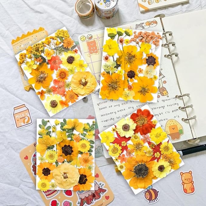 150PCS Yellow Dried Pressed Flowers - Image 2