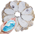 5"-6" 30PCS Extra Large Oyster Shells, Natural Flat Oyster Shells by DOODLEBEAN