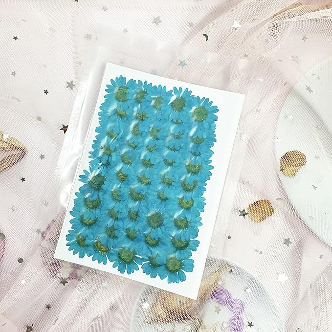 50pcs Natural Dried Daisy Flower, Vacuum Packaging, Pressed Flower - Image 4