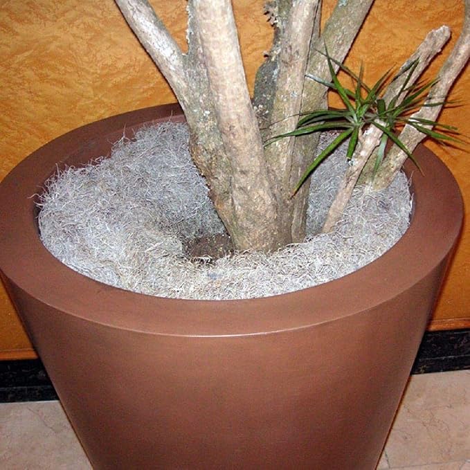 Mosser Lee Spanish Moss – Natural Decorative Moss - Image 7