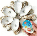 20Pcs 3-4 Inch Natural Oyster Shells by Unknown