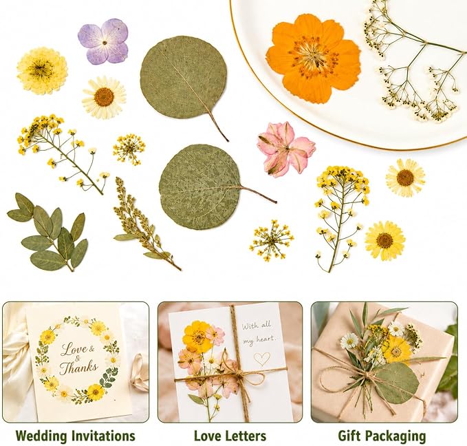 Dried Pressed Flowers for Resin, Scrapbooking, Soap Candle Making, DIY - Image 6
